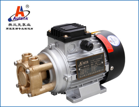 蒸汽發生器熱水泵